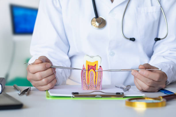 Best Walk-In Emergency Dentist in Corcoran, MN